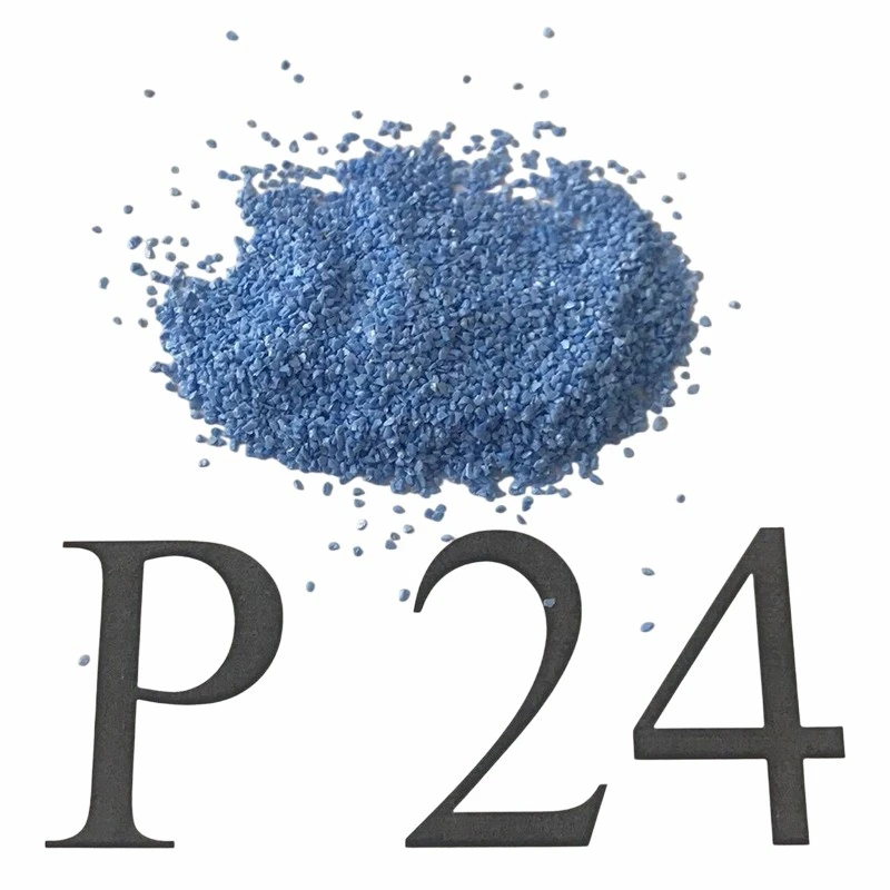 SG P24